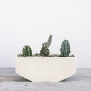 Linea Windowsill Planters