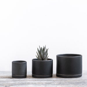 May include: Three black ceramic planters with a white rim. The smallest planter is empty, the middle planter has a small succulent plant, and the largest planter is empty.