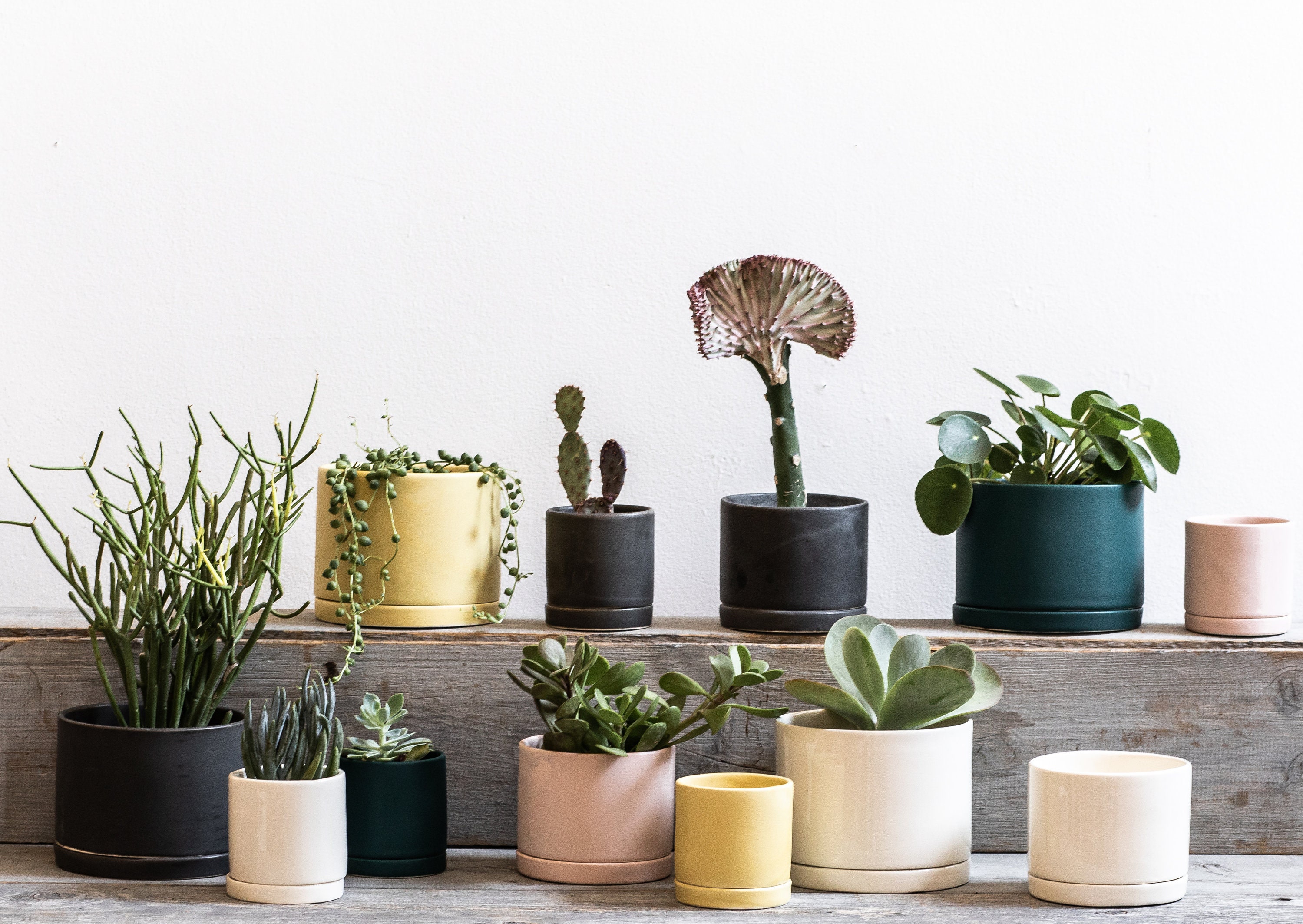 White cheap tabletop planter