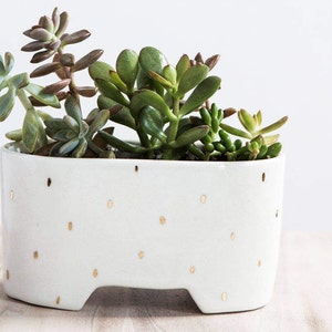 Shortie Windowsill Planter