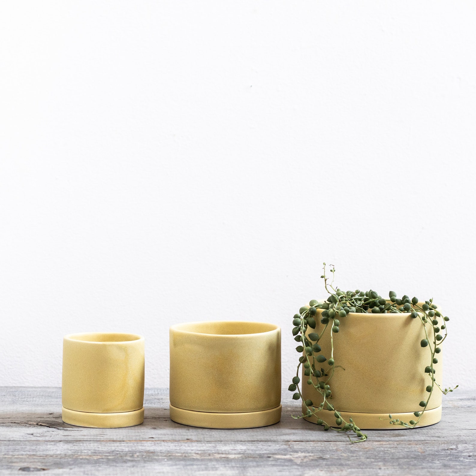 Tabletop Planter with Tray in Goldenrod Yellow - Small