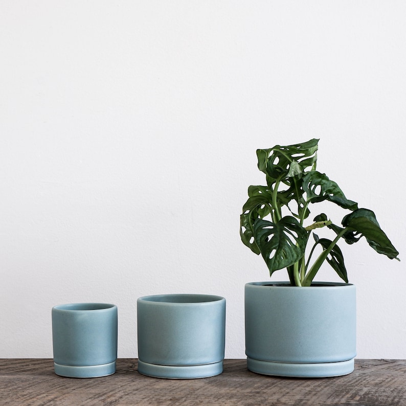 Tabletop Planter With Tray in Siren Blue Etsy
