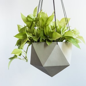 May include: A hanging geometric planter with a vibrant green plant. The concrete planter has a faceted design and is suspended by black cords. The plant's leaves cascade over the sides, creating a modern, minimalist aesthetic.