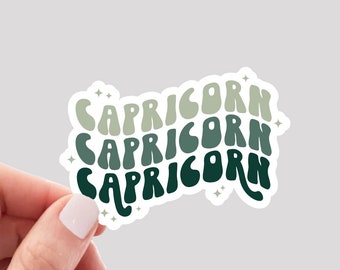 Capricorn Sticker / Retro Zodiac Capricorn Sticker / Capricorn Girl Sticker / Capricorn Water Bottle Sticker / Capricorn Vinyl Sticker