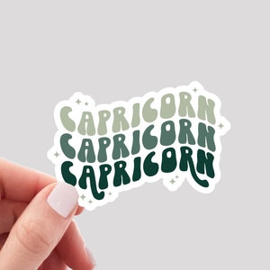 Capricorn Sticker / Retro Zodiac Capricorn Sticker / Capricorn Girl Sticker / Capricorn Water Bottle Sticker / Capricorn Vinyl Sticker image 1