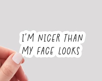 I'm Nicer Than My Face Looks Sticker / Sarcastic Sticker / Funny Water Bottle Sticker / Funny Laptop Sticker / Resting Bitch Face Sticker