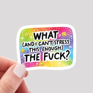 What the F*ck Sticker, Funny Sarcastic Sticker, Snarky Funny Sticker, Funny Swearing Sticker, F Word Vinyl Sticker