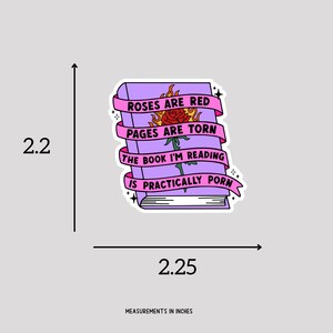 Funny Smut Sticker, Funny Book Sticker, Funny Reading Sticker, Spicy Book Sticker, image 4