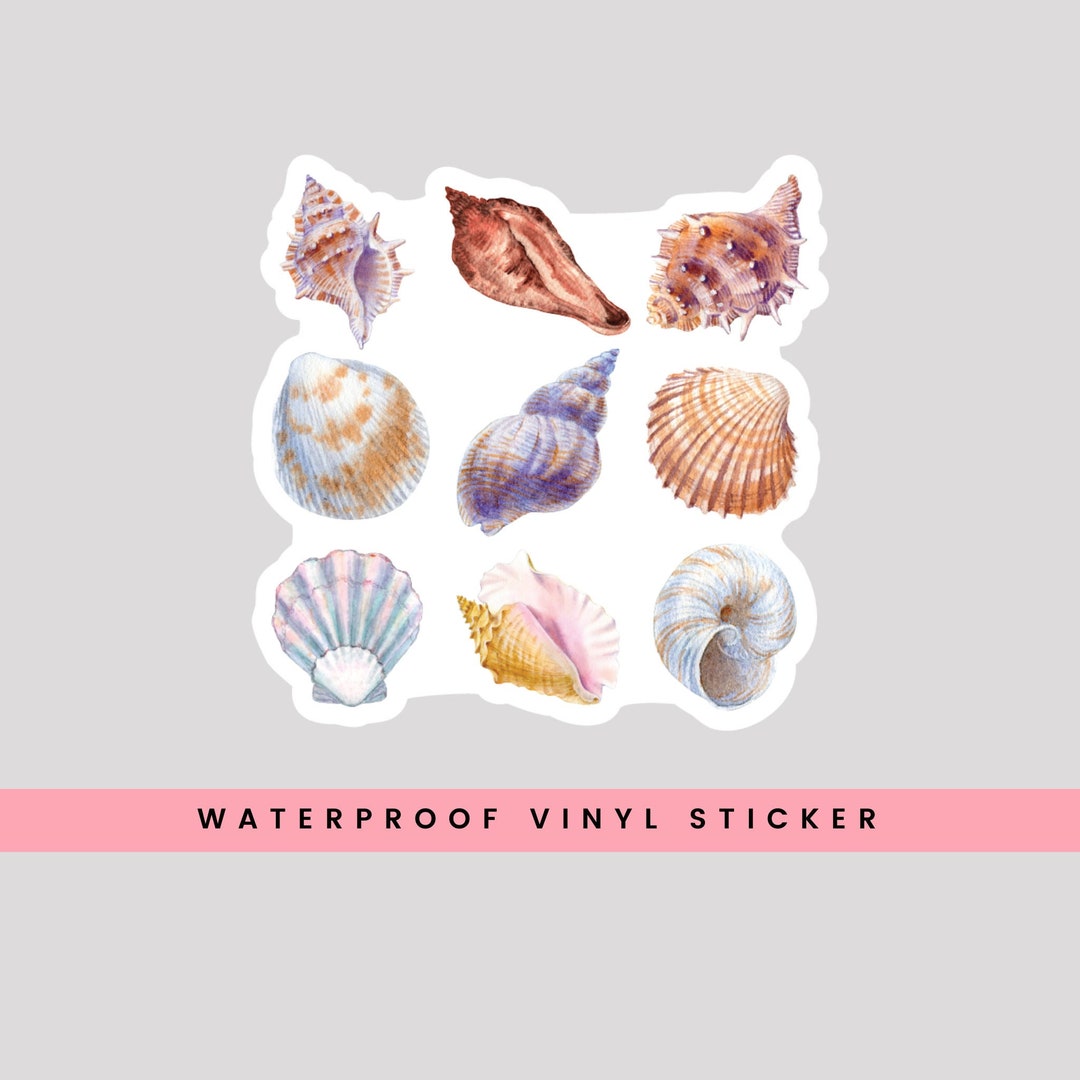 Shell Sticker Beige Seashell Sticker, Beach Sticker, Shell Collage Sticker - Etsy