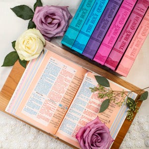 May include: An open book with peach pages and text, alongside a collection of "The Holy Qur'an" books in blue, purple, pink, and peach. The scene is adorned with purple and cream roses, creating a visually appealing arrangement.