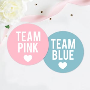 Gender Reveal Party Stickers, Team Pink Team Blue Stickers, pink and blue party, party stickers, sticker set