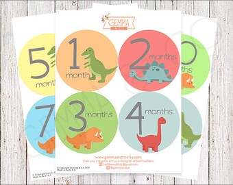 The Camden | Baby Boy Dinosaur 12 Monthly Growth Stickers