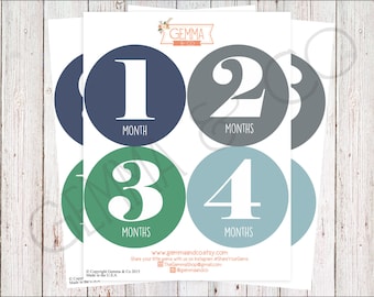 The Lucas | Simple Baby Boy 12 Month Growth stickers