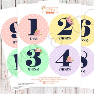 The Olivia | Spanish Baby Girl 12 Month Growth Stickers