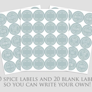 Modern Spice Labels, Robin Egg Blue Spice Pantry Labels image 3