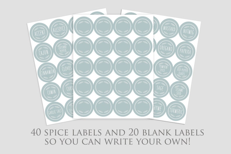 Modern Spice Labels, Robin Egg Blue Spice Pantry Labels image 3