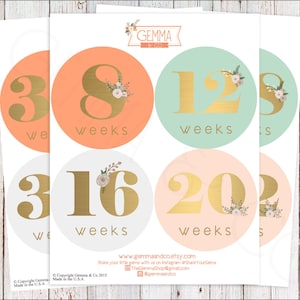 Modern Chic Floral Pregnancy Stickers Faux Gold Foil Photo Prop