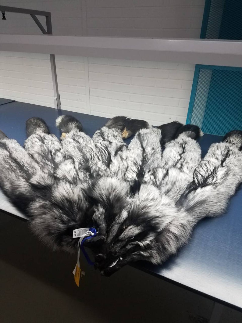 Silver Fox Fur Pelts/skins | Etsy