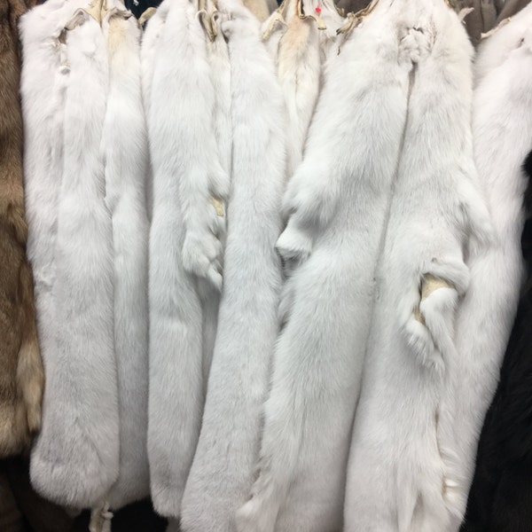 white Fox fur pelts/skins