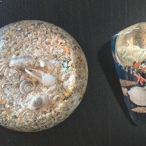 Vintage Lucite Sealife Paper Weights (2) / Two Paper Weights w Coral Shells Sea Plants Sea Crabs Starfish / Beach Theme Home Office Decor