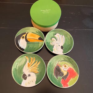 May include: Set of four decorative ceramic plates with hand-painted bird designs, including a toucan, cockatoo, and parrot. Each plate features a green background and a white rim. The plates are displayed with a green and tan box that reads "Parrot Plates".