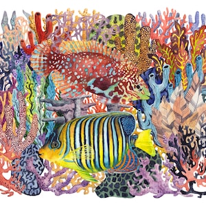 Regal Angelfish and Blue Star Leopard Wrasse