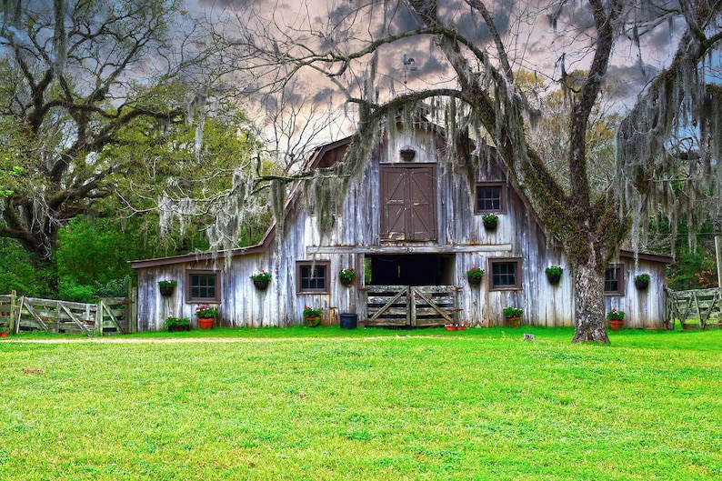 Photography Landscape Old Barn Stormy Sky phot photograph New Orleans French Quarter Fine Art Travel Decor