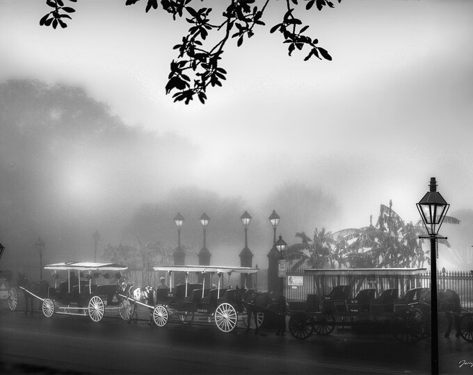 New Orleans Photgraphy FOGGY MORNING CARRIAGES Jackson Square Fine Art Photograph