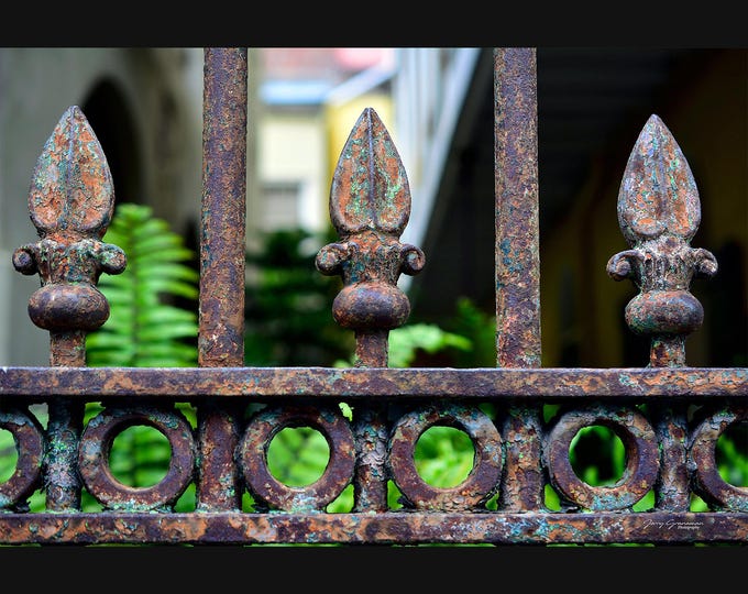 FLUER DE-LIS Fence New Orleans Photography French Quarter, color photo print photograph wall decor