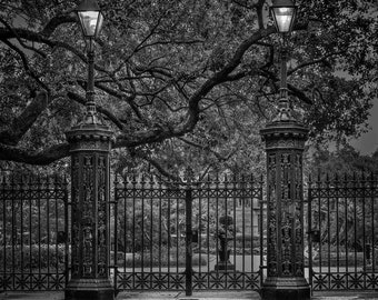 Gothic Gate New Orleans Photography French Quarter Fine Art Photo