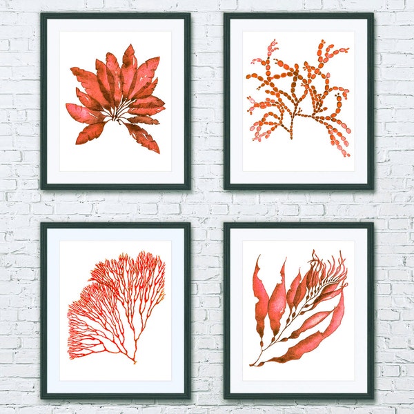 Coral and Seaweed Handpainted Set of 4 Four Botanical Prints in Coral Reds and White - Nautical Wall Art Sea Coral Painting Poster Gift