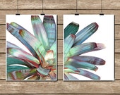 Imperial Bromeliad Watercolor Set of 2 Diptych Botanical Prints - Wall Art Home Decor Painting Poster Floral Art Watercolour Giclee Prints
