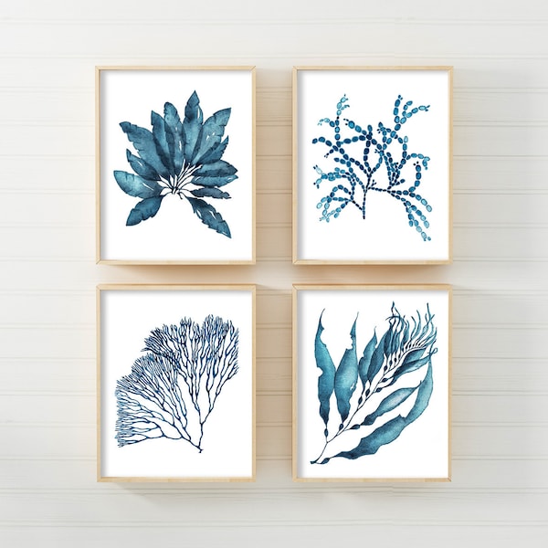 Sea Coral Print Set,Coral Print,Set Of 4 Prints,Teal Blue Print,Coastal Print,Hampton Print,Wall Art,Nautical Print,Wall Decor,Coastal Decor