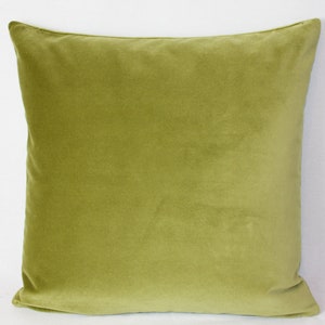 May include: A soft, green velvet cushion with a square shape. The cushion is made of a plush, high-quality fabric.
