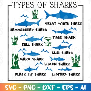 Types of sharks svg kids shark names svg shark names tee design iron on cut files Cricut Silhouette Instant Download vector SVG pn eps dxf