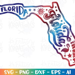 Florida State SVG handgezeichnete 4. Juli USA Bundesstaat Pelikan Schnittdatei druckbare Datei Silhouette Cricut Studio Download png Sublimation