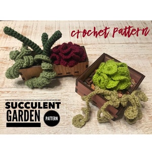 PATRON** Patron de jardin succulent au crochet