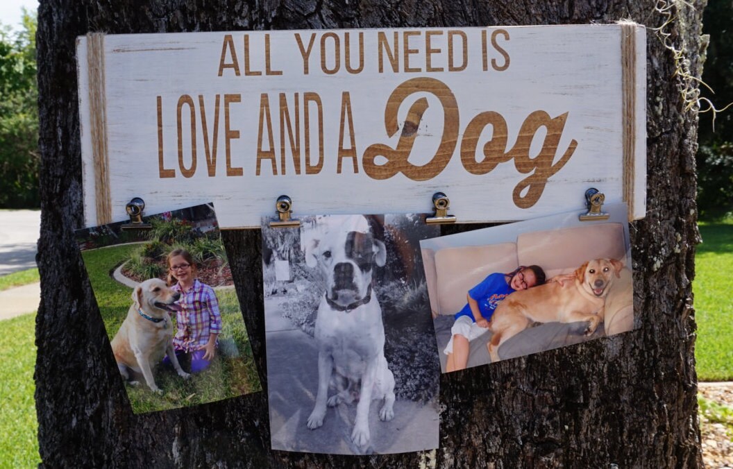 All You Need Is Love And A Dog Photo Holder Lover Gift 50
