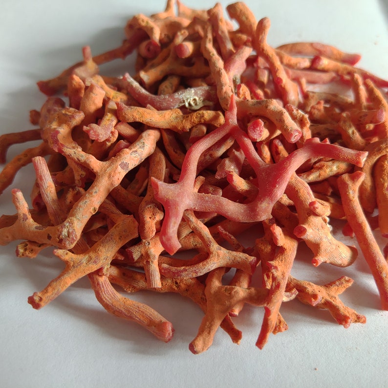 May include: A pile of orange and red coral branches. The coral is dry and has a rough texture.