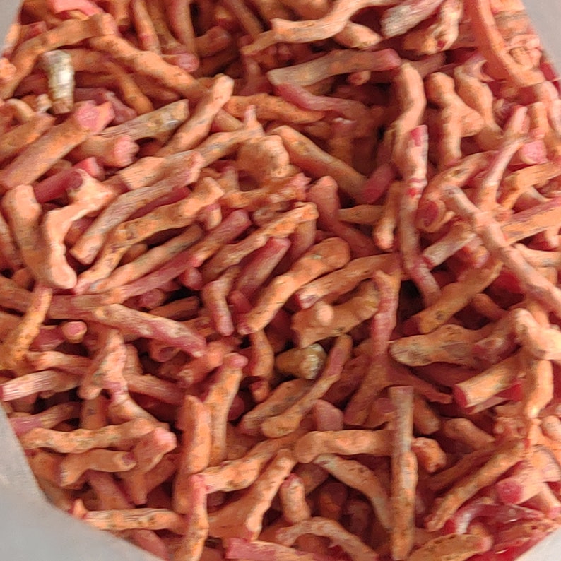 May include: A close-up view of a bag filled with small, thin pieces of red coral. The coral is a vibrant orange-red color and has a rough, textured surface.