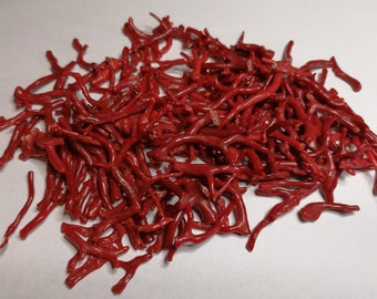 Authentic 100% Natural Polished Rough Red Coral Branches Tree Raw Coral Mediterranean Sea Coral