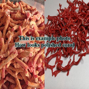 May include: Two images of red coral branches. The image on the left shows unpolished coral, while the image on the right shows polished coral. "This is example photo How looks polished coral" text is visible in the image.