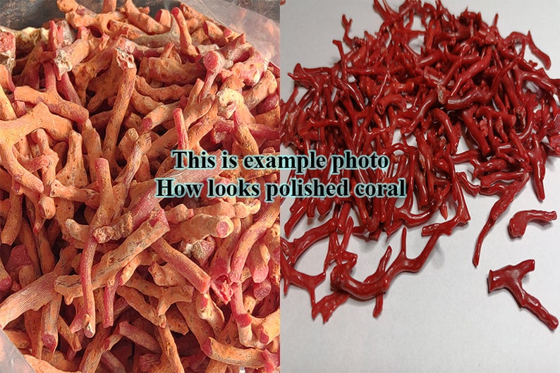 May include: Two images of red coral branches. The image on the left shows unpolished coral, while the image on the right shows polished coral. "This is example photo How looks polished coral" text is visible in the image.