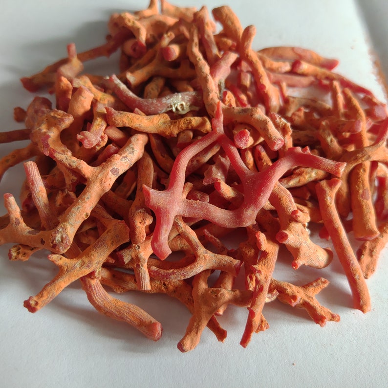 May include: A pile of small, orange-red coral branches. The coral is dry and has a rough texture.