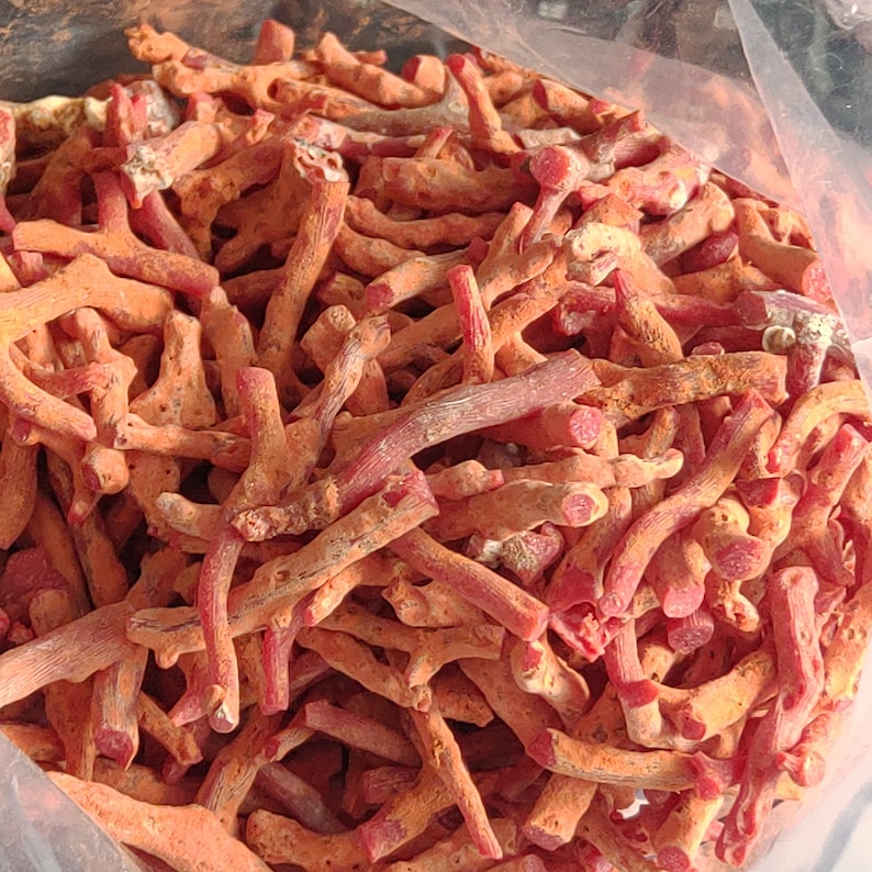 May include: A close-up of a pile of red coral branches. The coral is dry and has a rough texture. The branches are various sizes and shapes.
