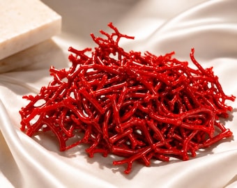 Polished Red Coral Branches: Natural Mediterranean Sea Coral