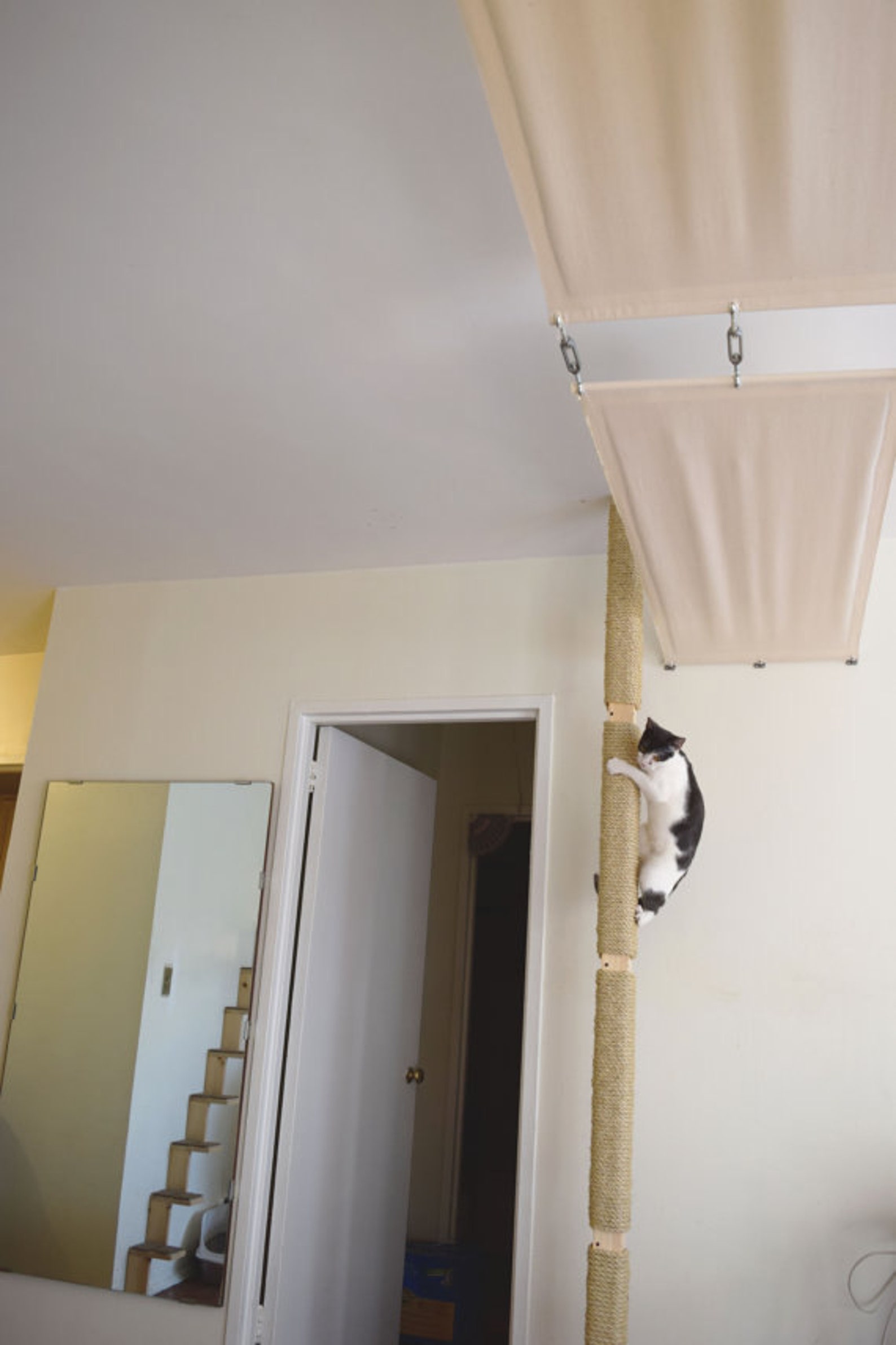 Cat Pole Cats Can Climb From Floor to Ceiling for Play and Etsy