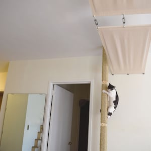 Cat Pole! Cats can climb from floor to ceiling for play and exercise. Turn your bookcase or cabinets into a cat duplex.