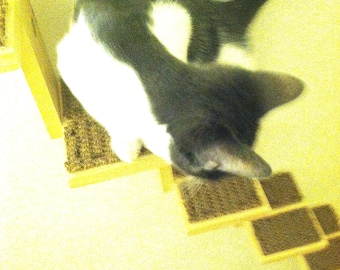 Cat Staircase. Cats can climb from floor to ceiling. Turn your home into a cat duplex.