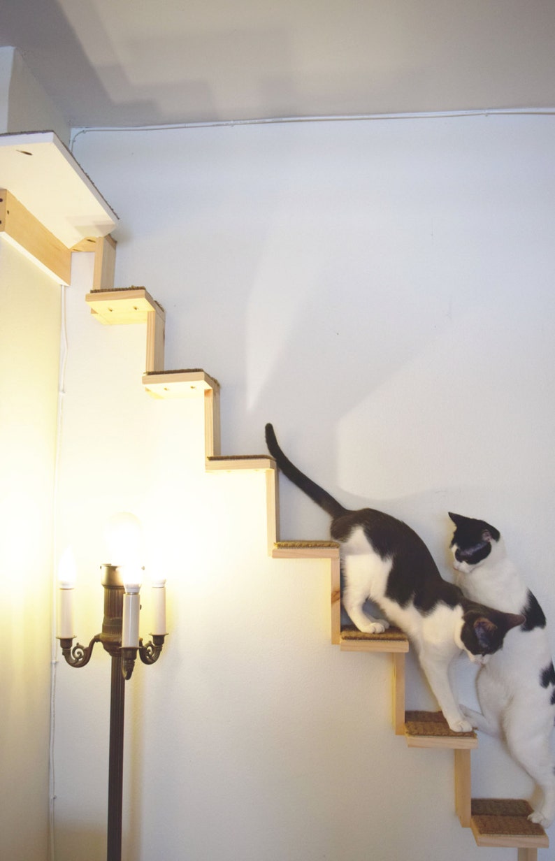 Cat Staircase. Cats can climb from floor to ceiling. Turn your home into a cat duplex. image 2